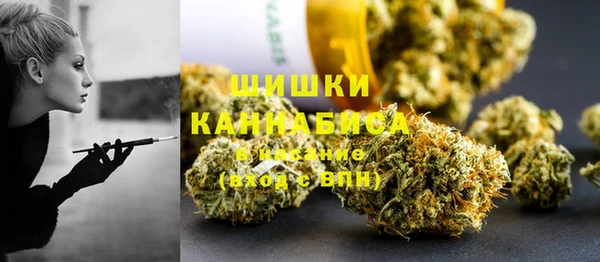 дмт Алзамай