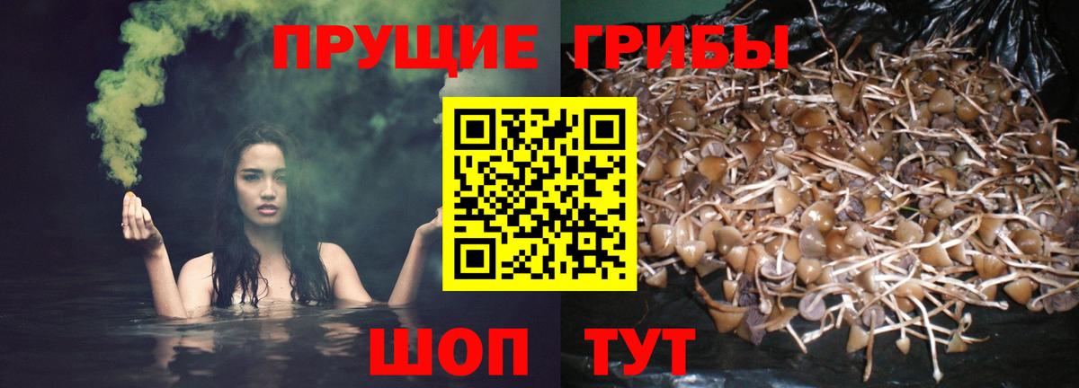Псилоцибиновые грибы Magic Shrooms  Псилоцибиновые грибы Cubensis  Вход с VPN  Нефтекамск 